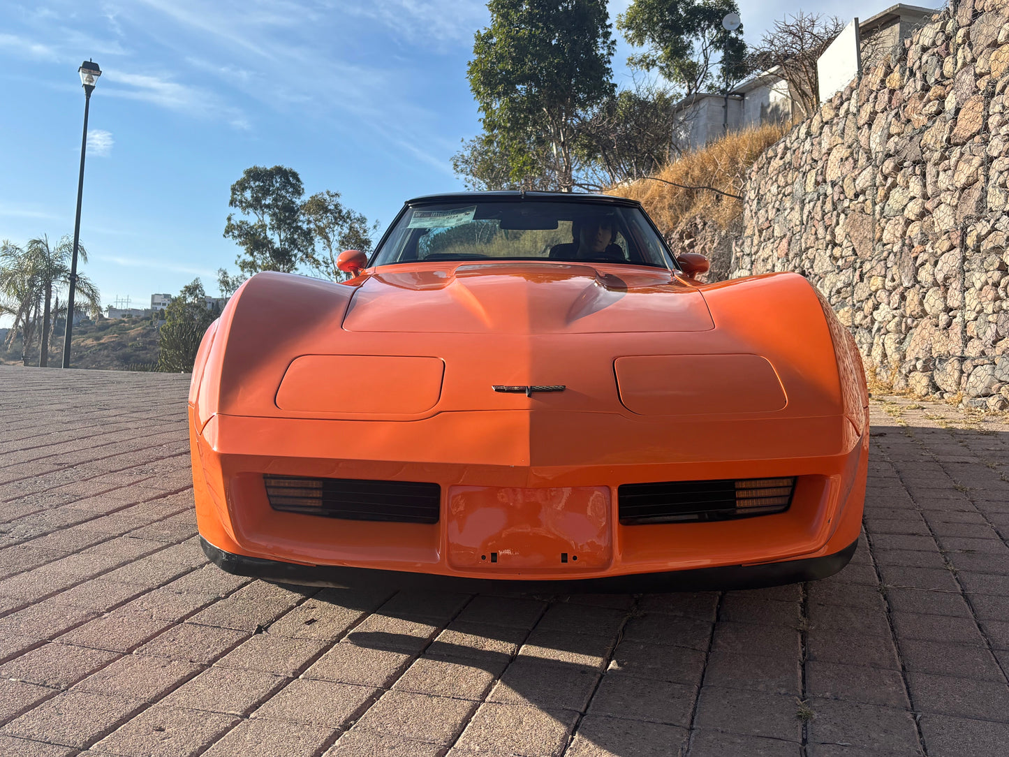 Corvette Stingray 1982