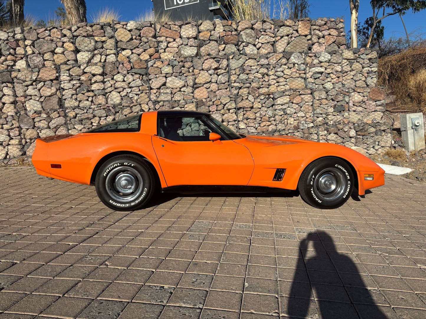 Corvette Stingray 1982