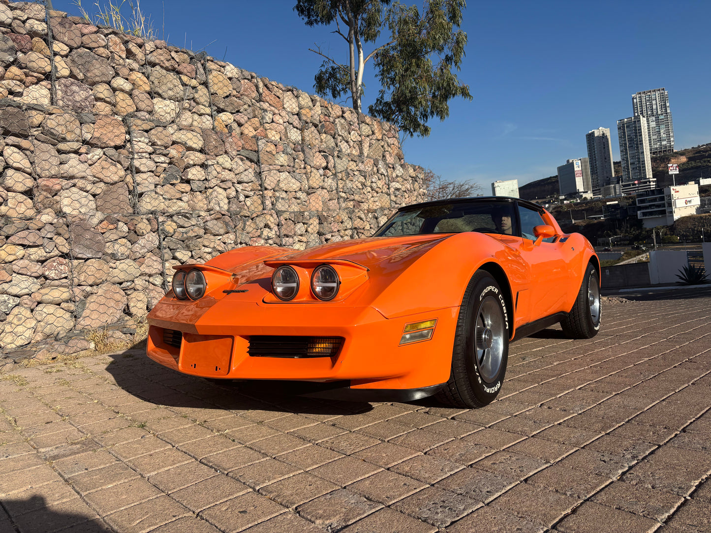 Corvette Stingray 1982