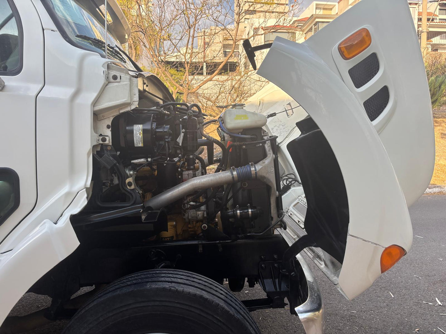 Sterling Rabón 1999