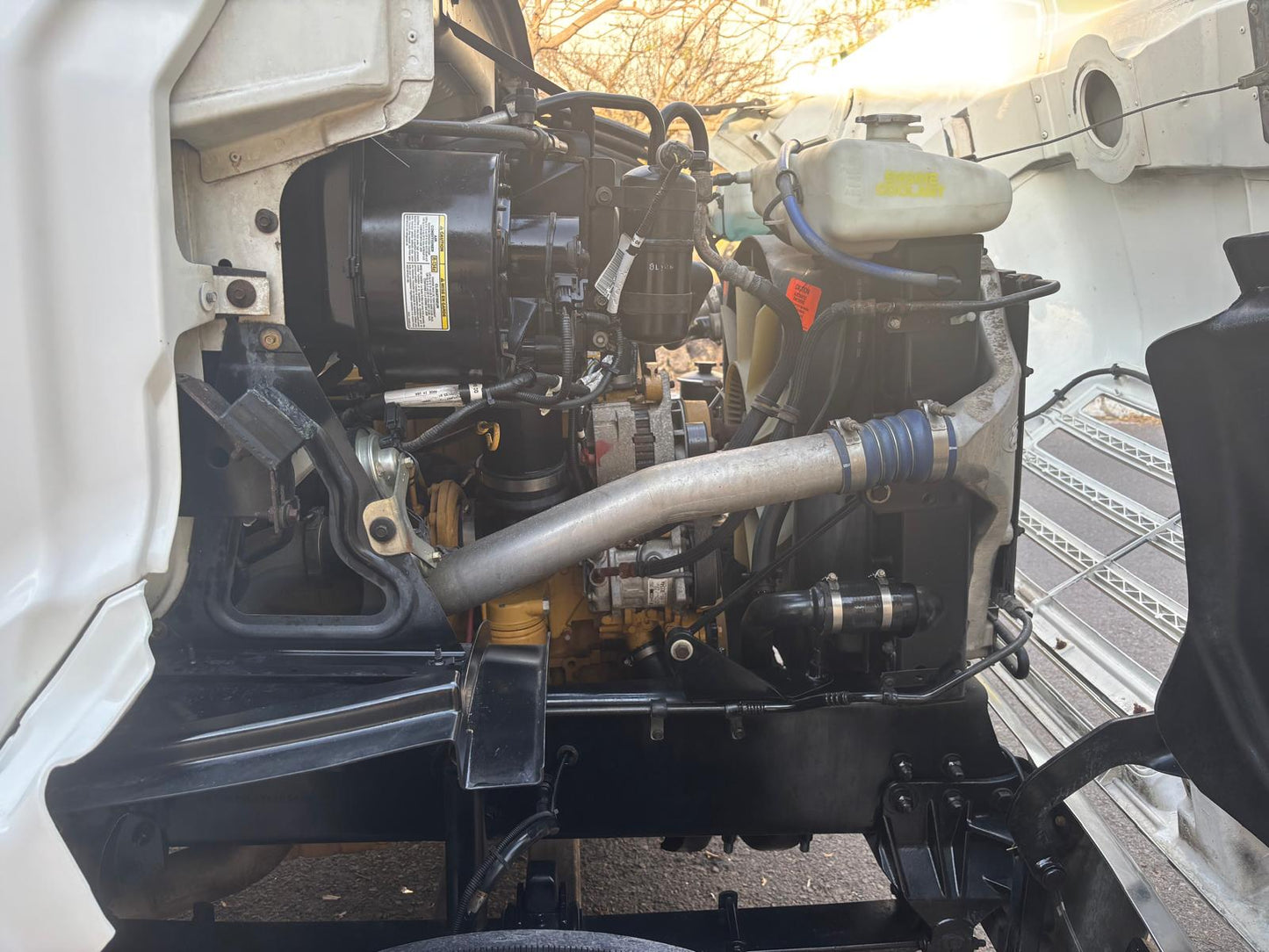 Sterling Rabón 1999