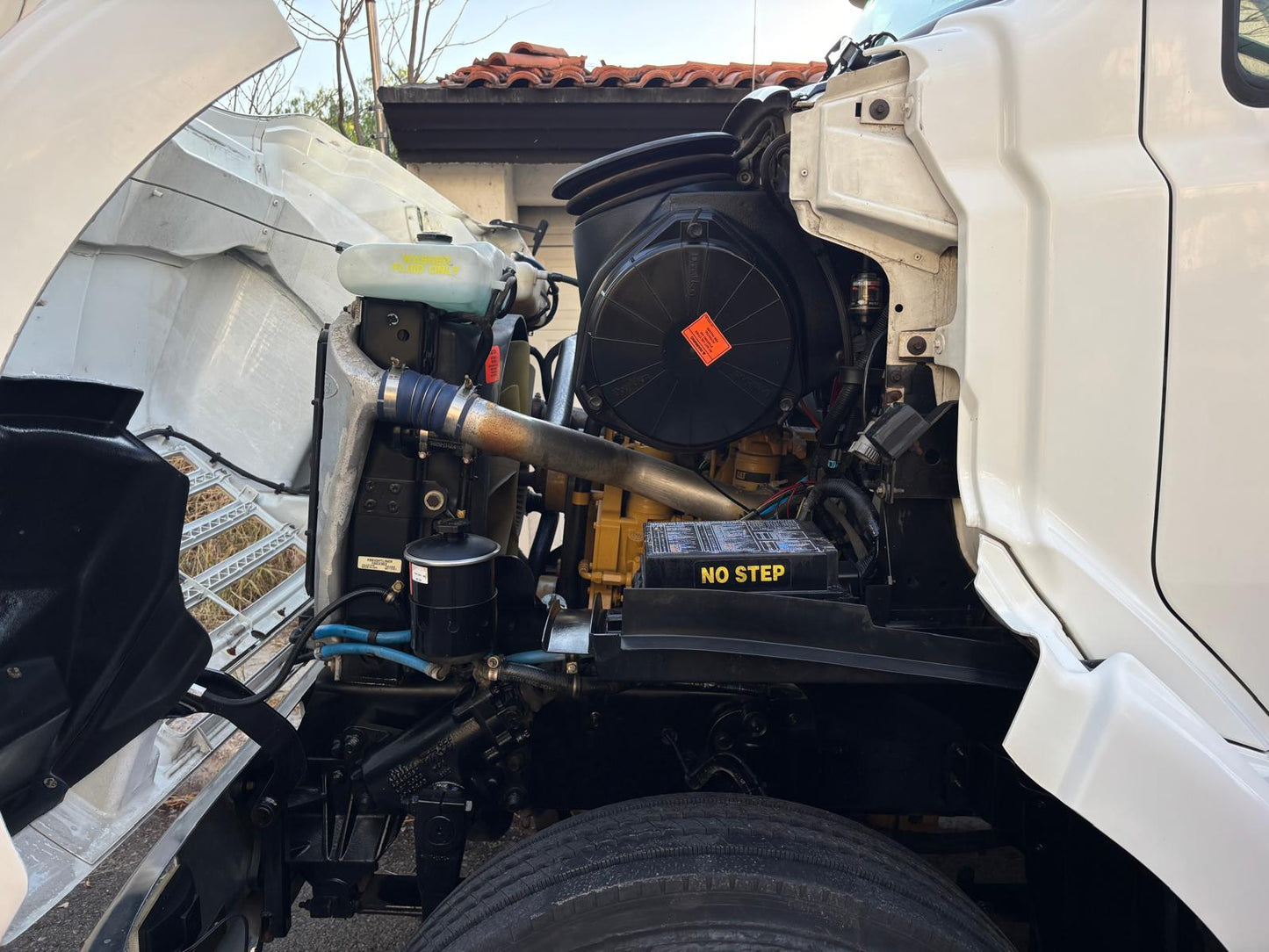 Sterling Rabón 1999